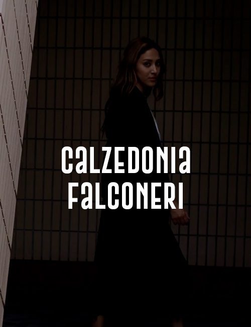 Corporate-CALZEDONIA-1.jpg